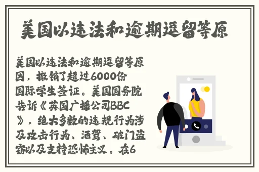 daisy小雏菊系列