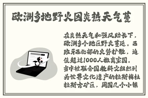 我的岳大人吴芬